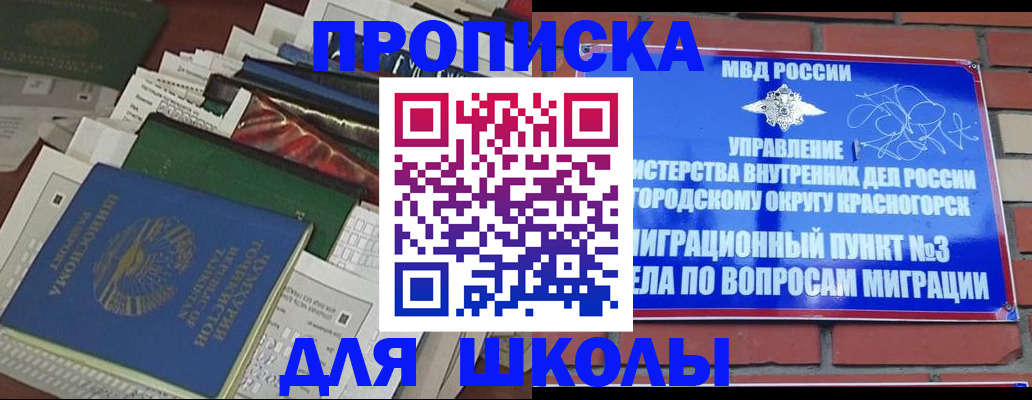 найти адрес прописки в Амурске